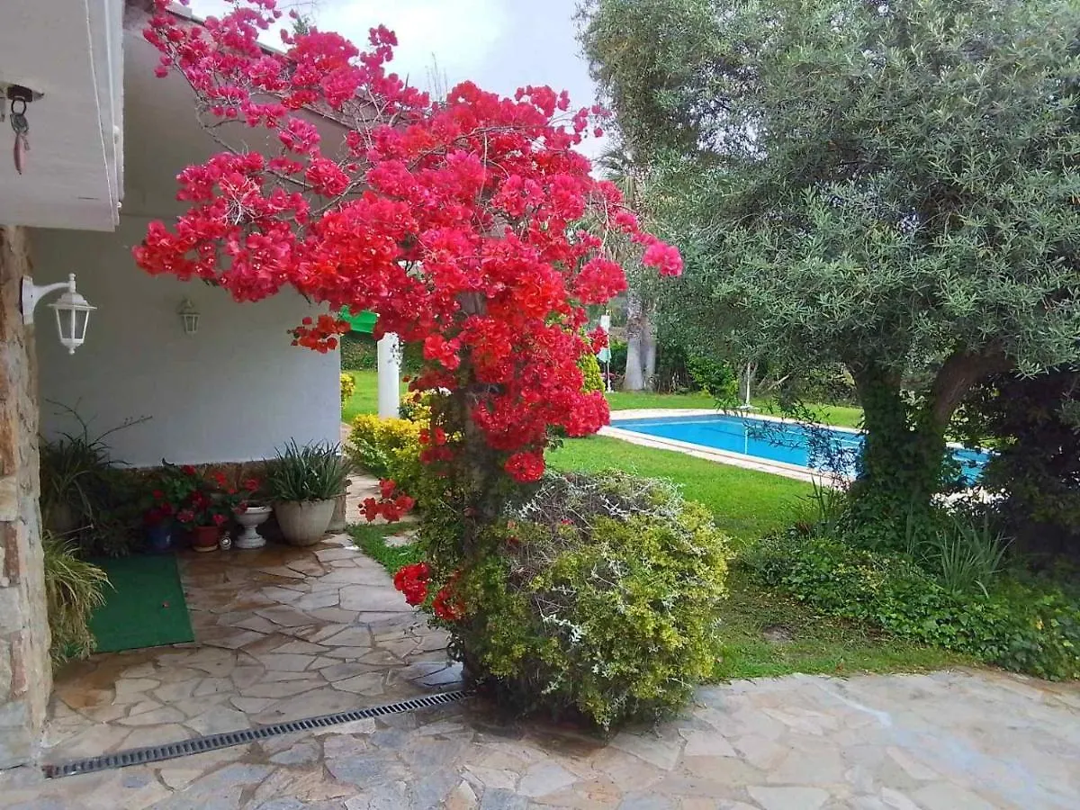 Villa Max Lloret de Mar 0*,  Spain