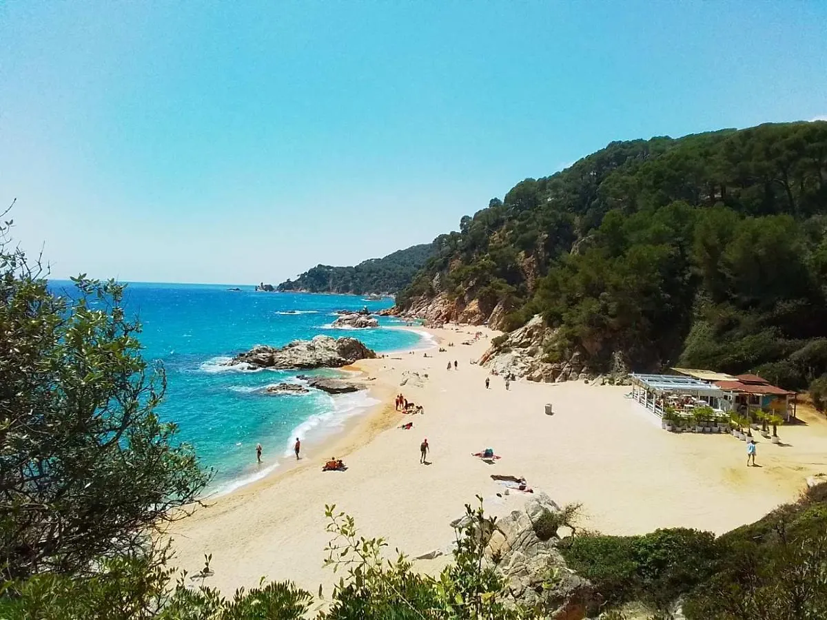 Villa Max Lloret de Mar